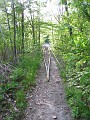 Tilton NH Rail Trail 2010 0160